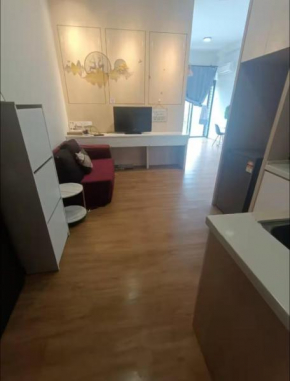 23-Mount Austin Palazio ModernHome Studio Wi-Fi TvBox